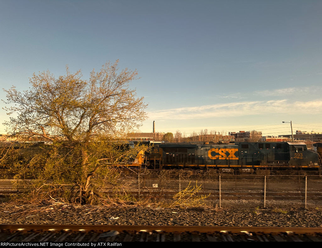 CSX 593